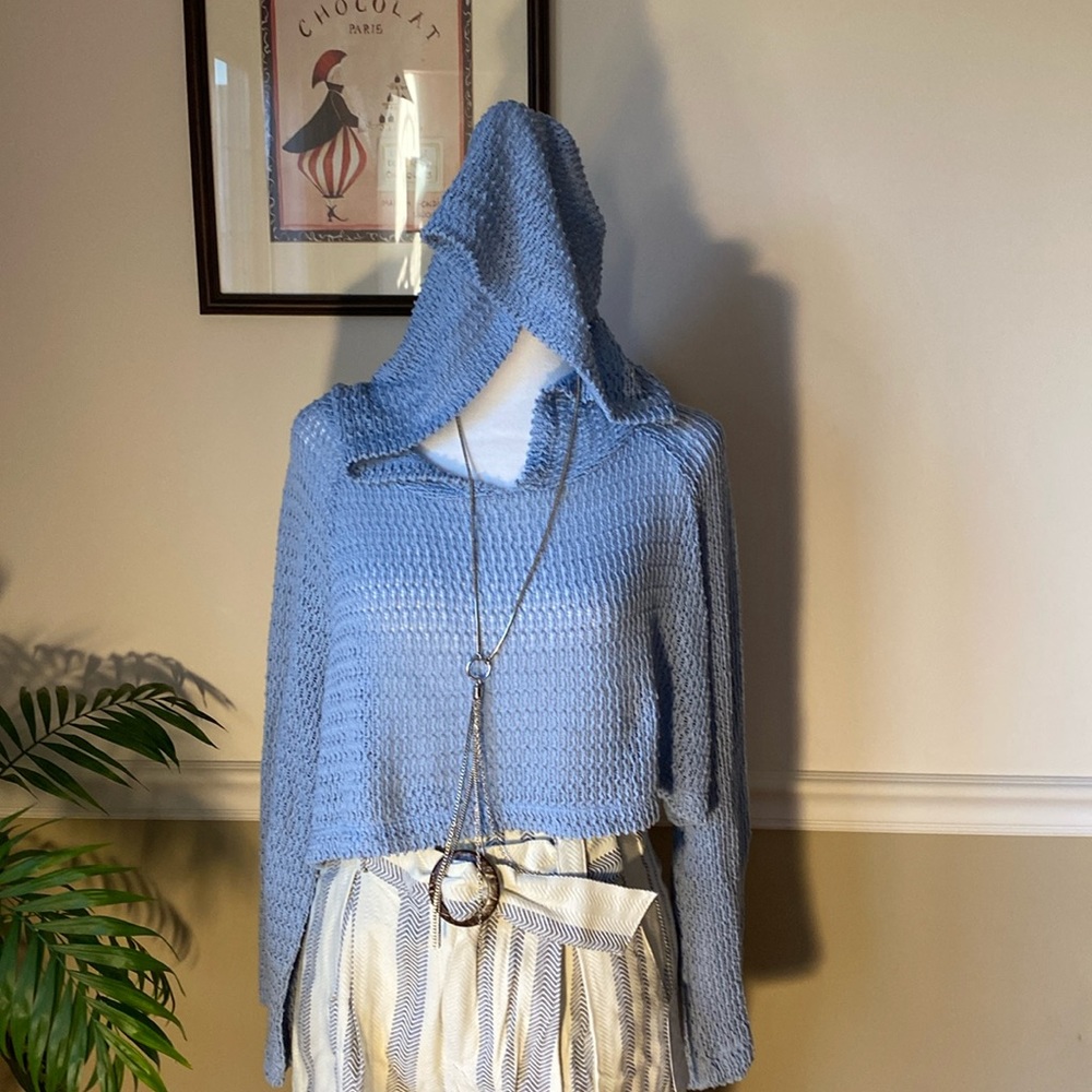 Kimchi Blue Long Sleeve Hooded Knit Sweater